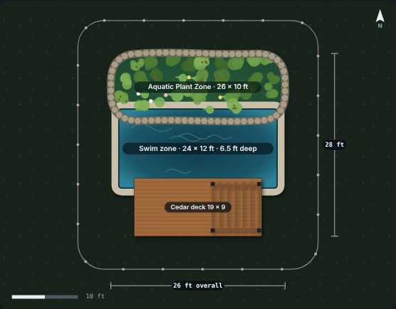 Sycamore 24 natural swimming pool, concept rendering