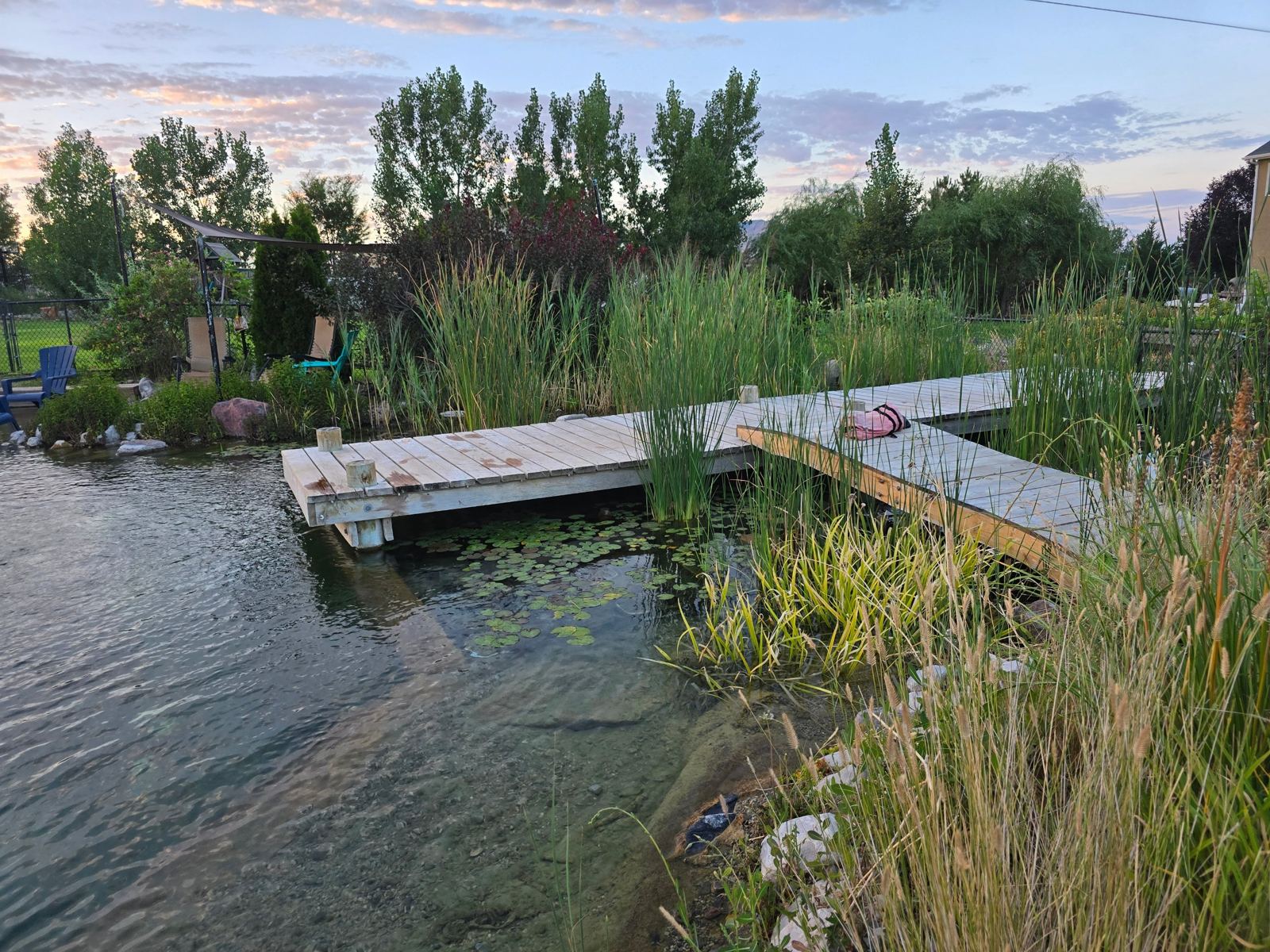 Dock over lily pads and reeds at sunset